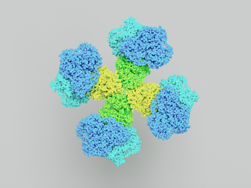 enzyme rendering