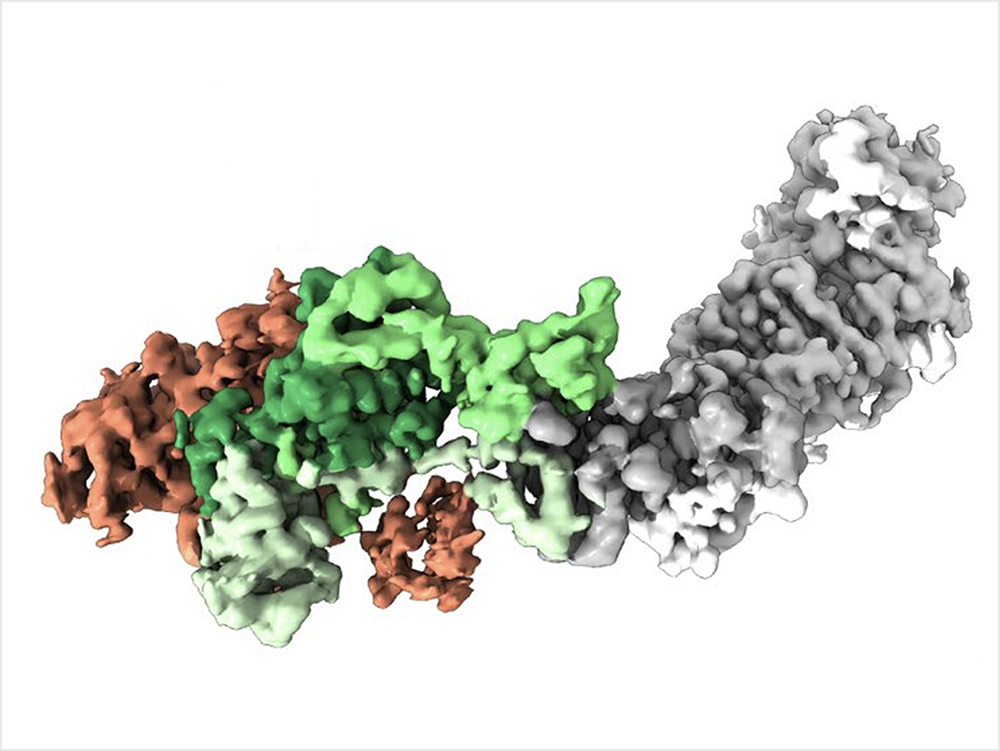 rendering of vaccine
