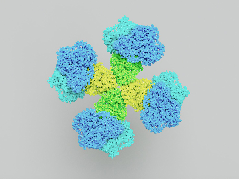 A blue enzyme 