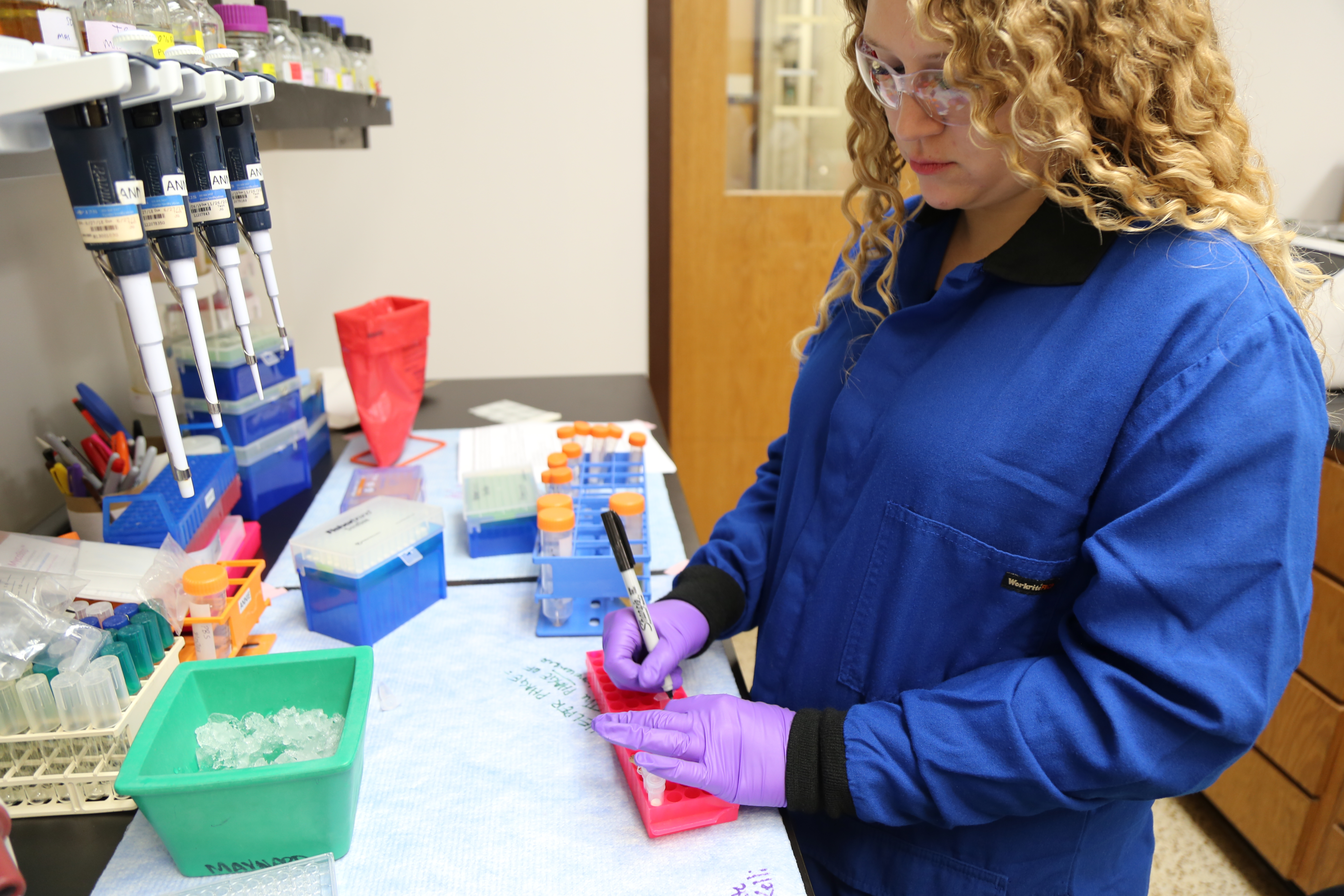 Phage Display Short Course