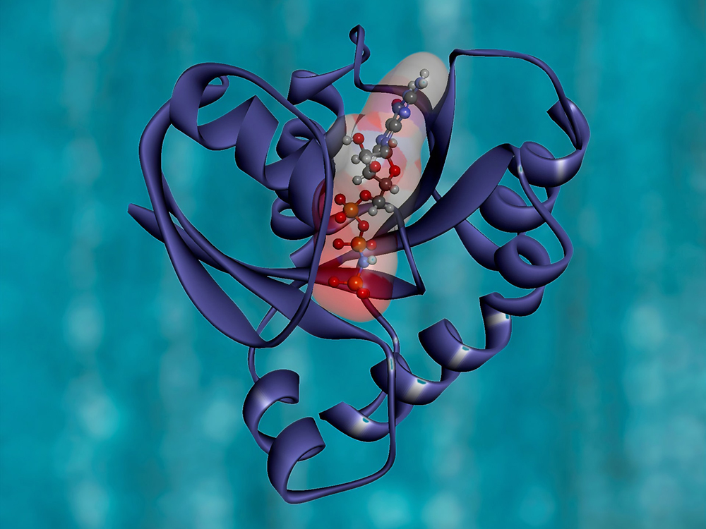 A colorful peptide molecule