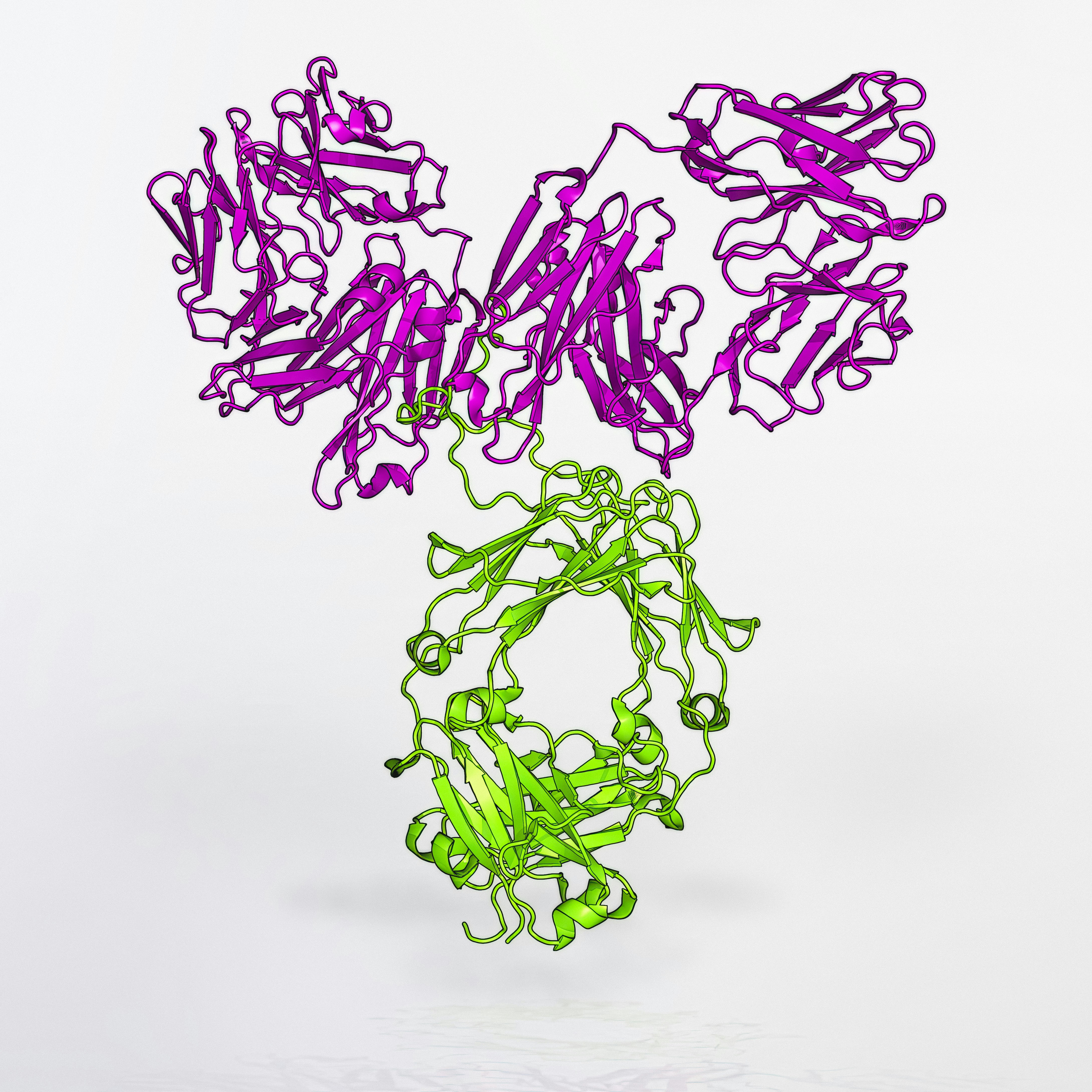 Proteomics Core